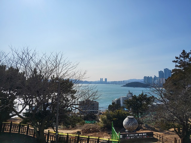 500년 향나무 (해운대 바다)